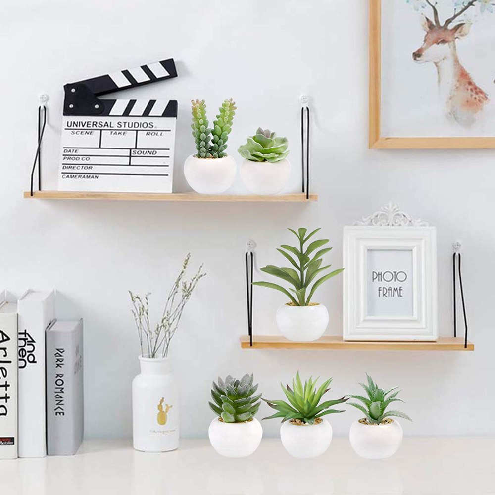 Artificial Succulent Plants: image 6