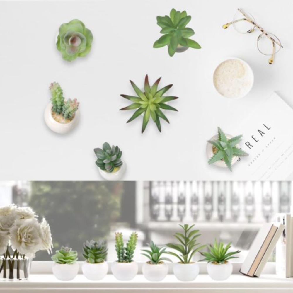 Artificial Succulent Plants: image 7