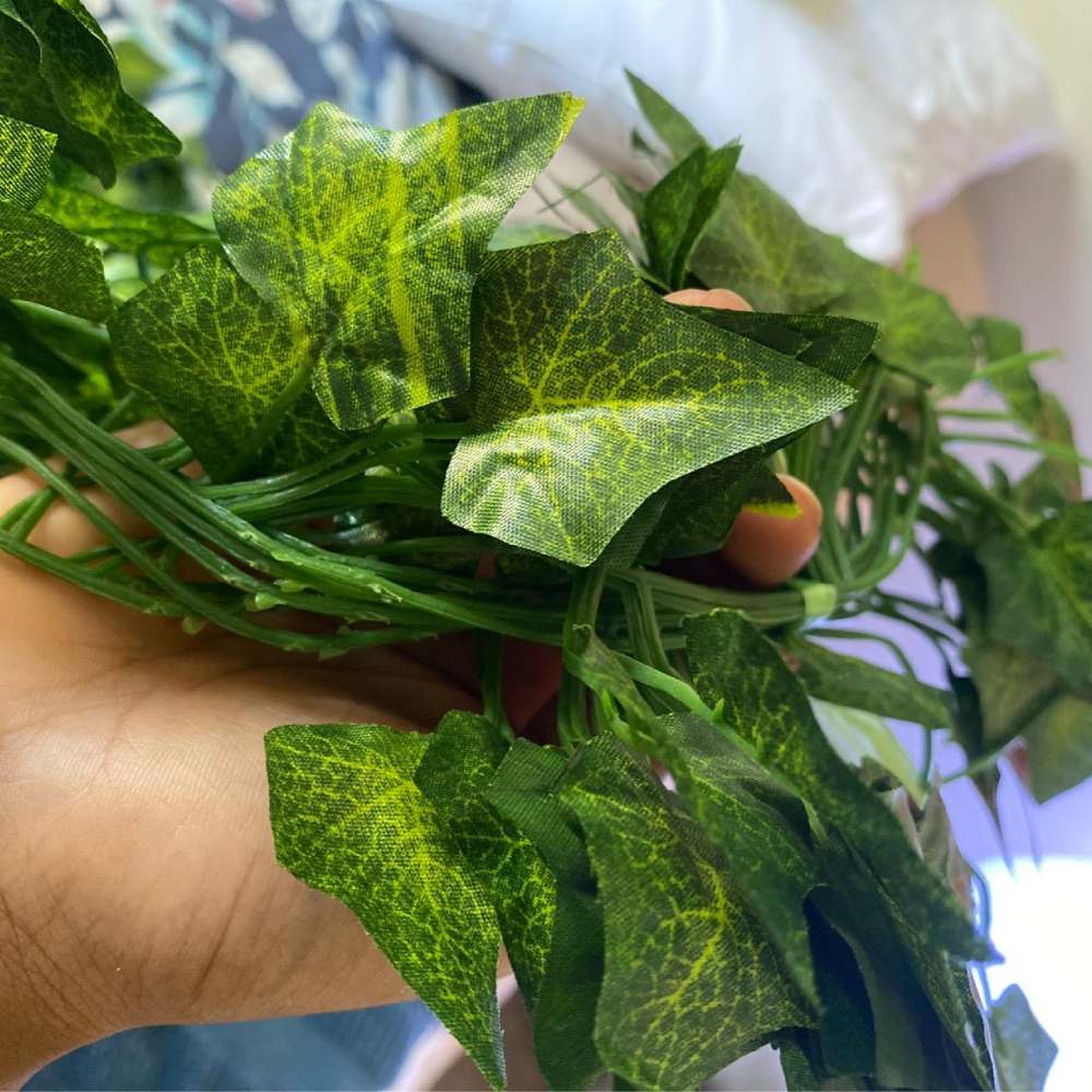 Artificial Ivy: image 5